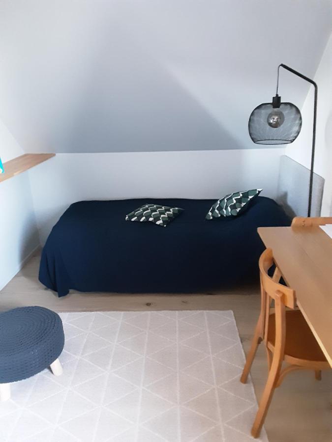 Charmant Appartement A 150 M Des Thermes Et Du Centre Ville Thonon-les-Bains Exterior foto